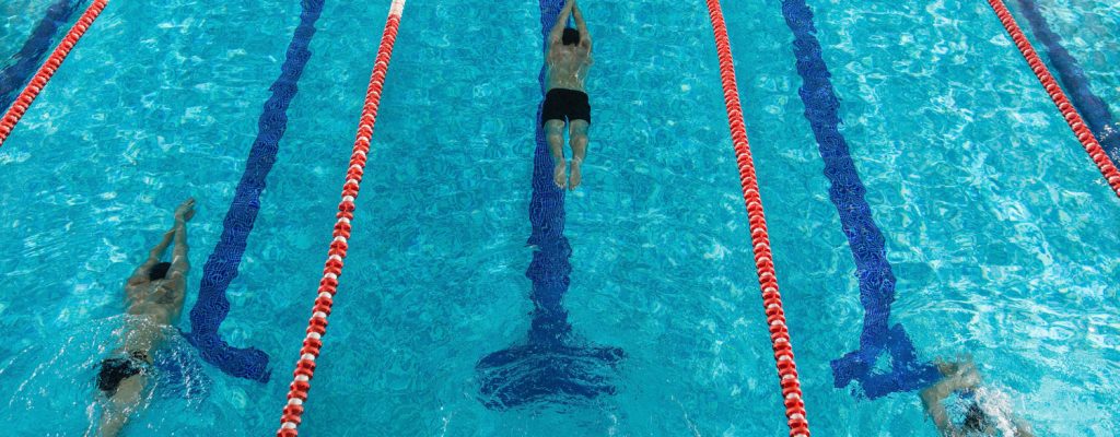 Swimmers in a swimming lane